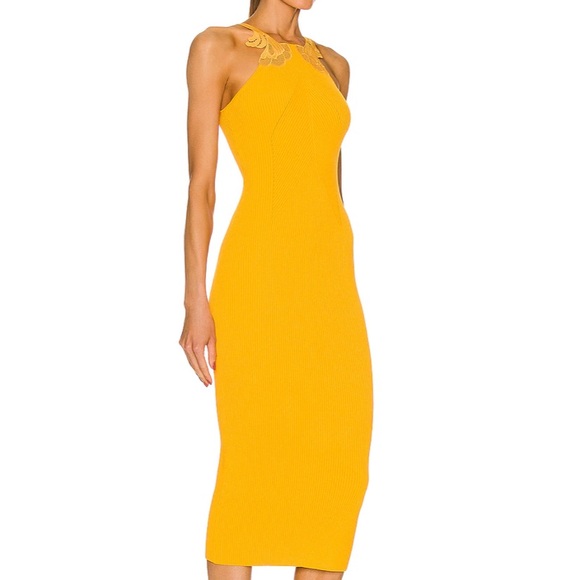 Self-Portrait Dresses & Skirts - Brand New with tags Self-portrait Inserted Lace Knit Dress